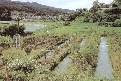 ほたる童謡公園